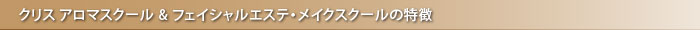 全日本エステ指導育成協会認定教室