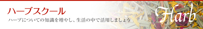 ハーブスクール ハーブについての知識を増やし、生活の中で活用しましょう